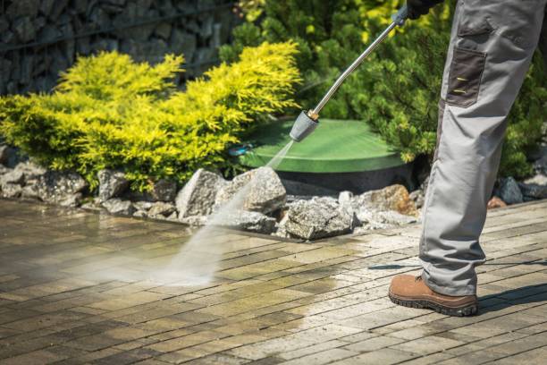 Best Animal Enclosure Cleaning  in Waldpt, OR
